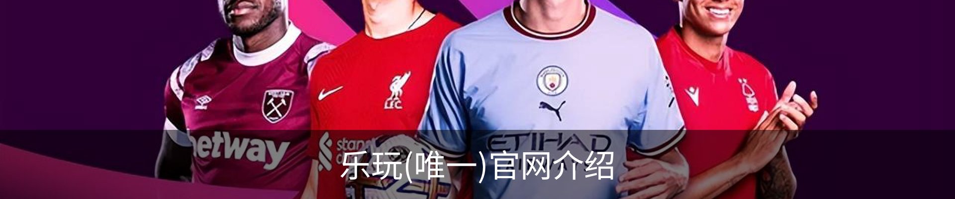 乐玩(唯一)官网介绍