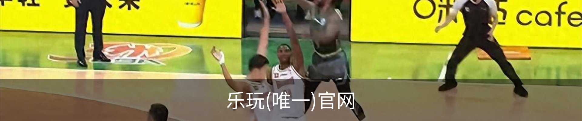 乐玩(唯一)官网