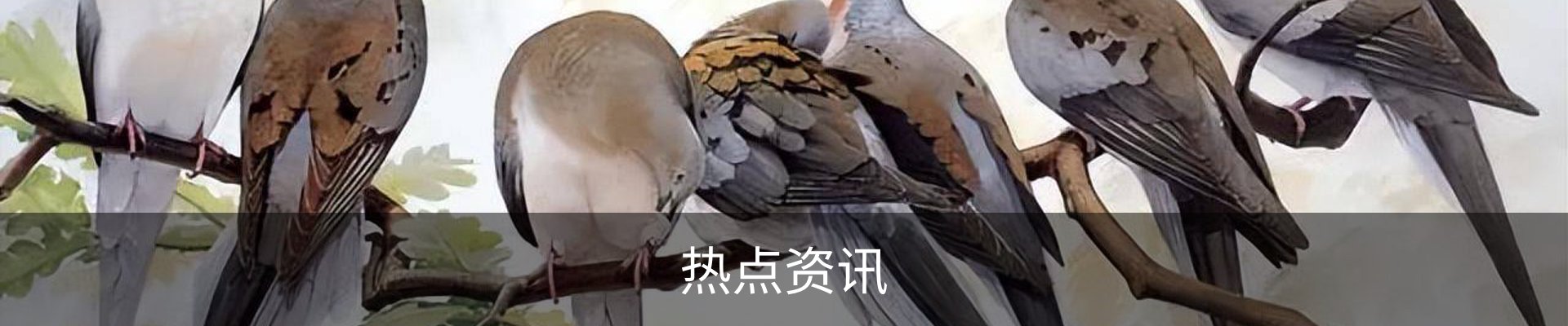 热点资讯